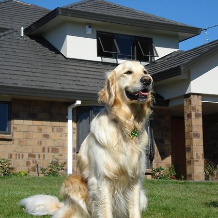 Ohuka Place Homestay Whitianga Kültér fotó